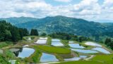 Road to FIRE | どこかにビューーン！攻略法 長岡到着編