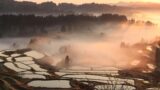 Road to FIRE | どこかにビューーン！攻略法 越後湯沢到着編